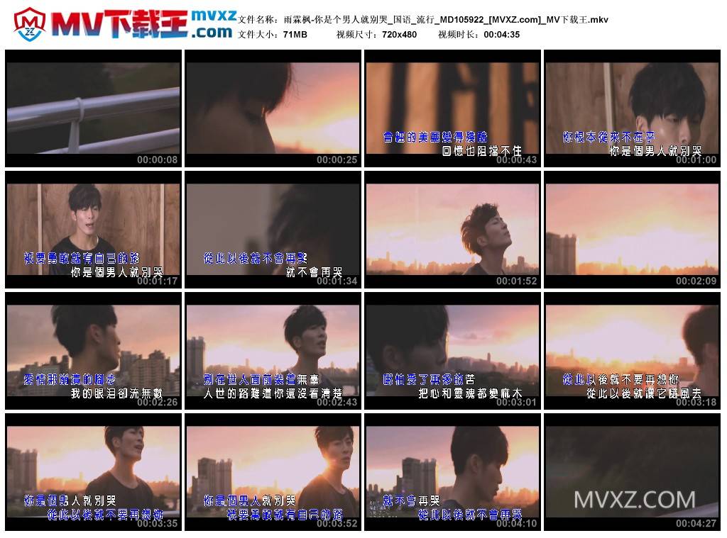 雨霖枫-你是个男人就别哭_国语_流行_MD105922